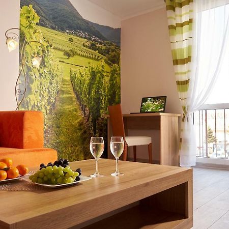 Apartament Winnica Centrum 지엘로나구라 외부 사진