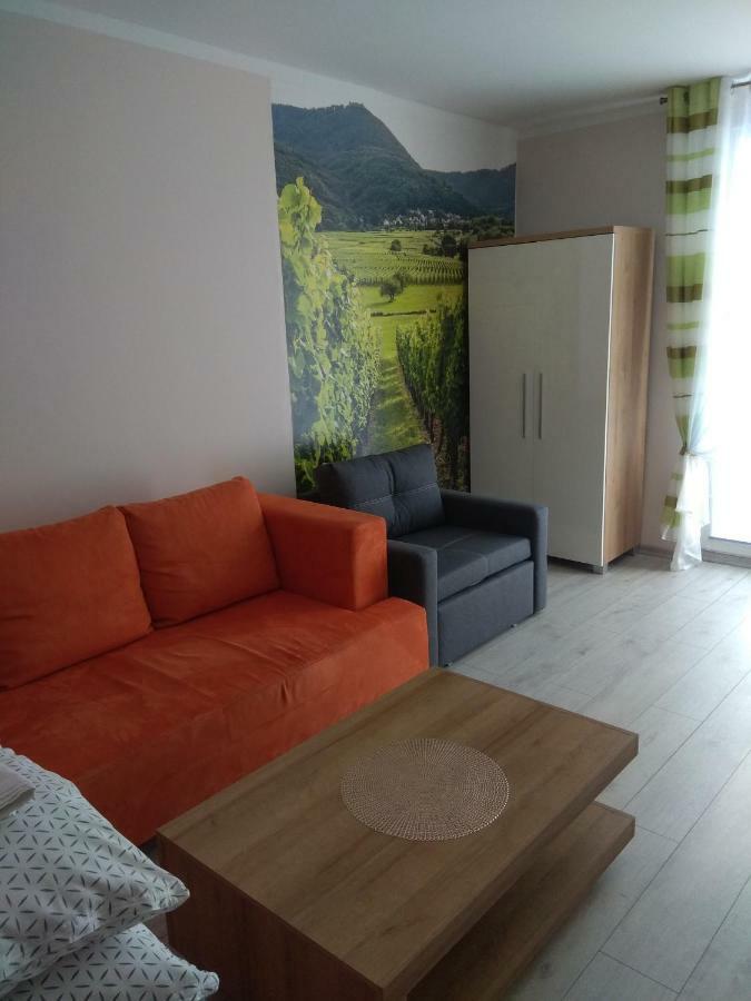 Apartament Winnica Centrum 지엘로나구라 외부 사진